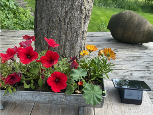 AquaSolaris - the solar-intelligent irrigation system for your balcony