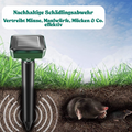 Wühlgedacht